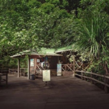 Permai Rainforest Resort Santubong Kültér fotó