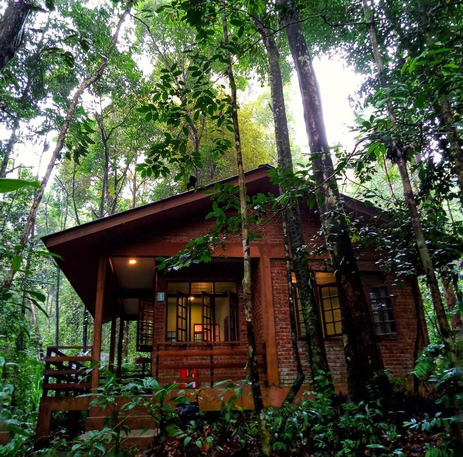 Permai Rainforest Resort Santubong Kültér fotó