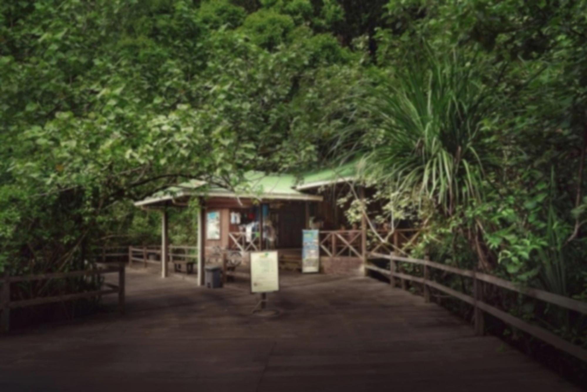 Permai Rainforest Resort Santubong Kültér fotó