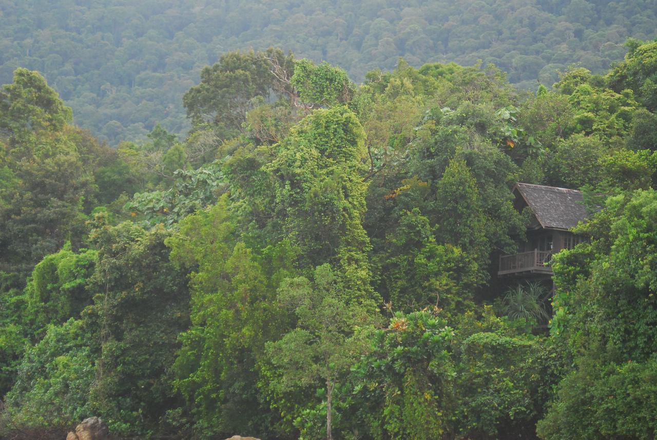Permai Rainforest Resort Santubong Kültér fotó